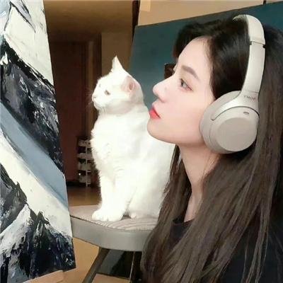 纽约鼠患
